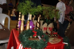 IMG_7376 (Copy)