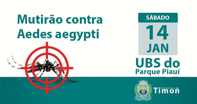 Mutirão contra o aedes