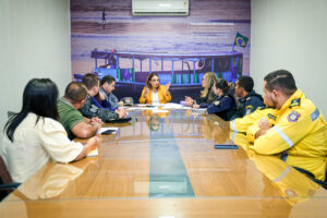 Reunião alinha estratégias para garantir segurança no Zé Pereira 2025 em Timon