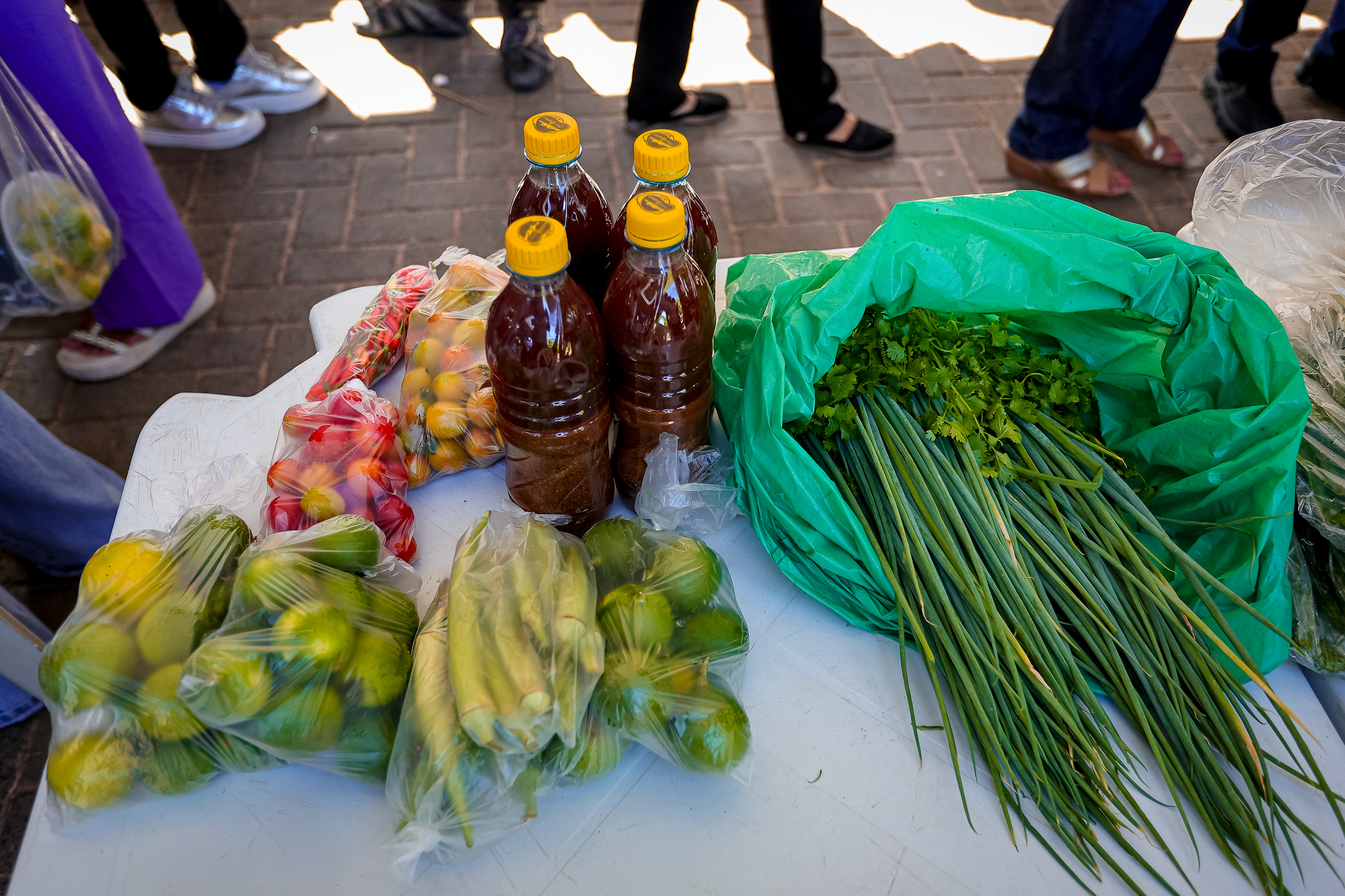 Timon realizará I Conferência Municipal de Desenvolvimento Rural Sustentável e Solidária