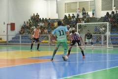 EDI_8480