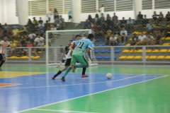 EDI_8481