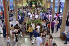 EDI_2038