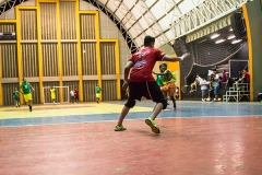 842A1684
