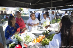 EA9A2637