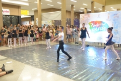EDI_8019