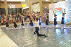EDI_8026