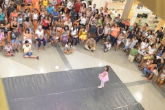 EDI_8033