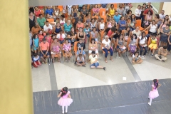 EDI_8037