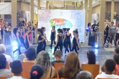 EDI_8048
