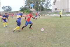 EDI_7918
