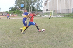 EDI_7919