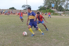EDI_7962