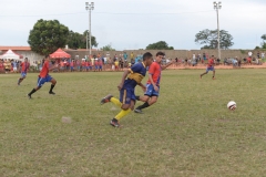 EDI_7970