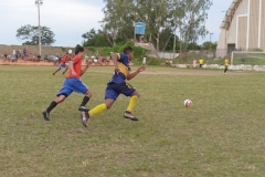 EDI_7972