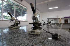 EA9A8025 (Copy)