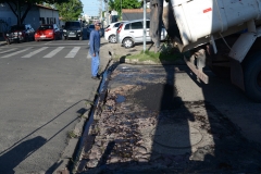 EDI_4974