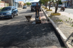 EDI_5687