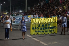 842A7394